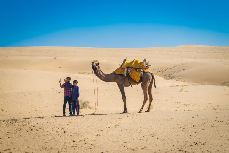 Jaisalmer: The Golden City​